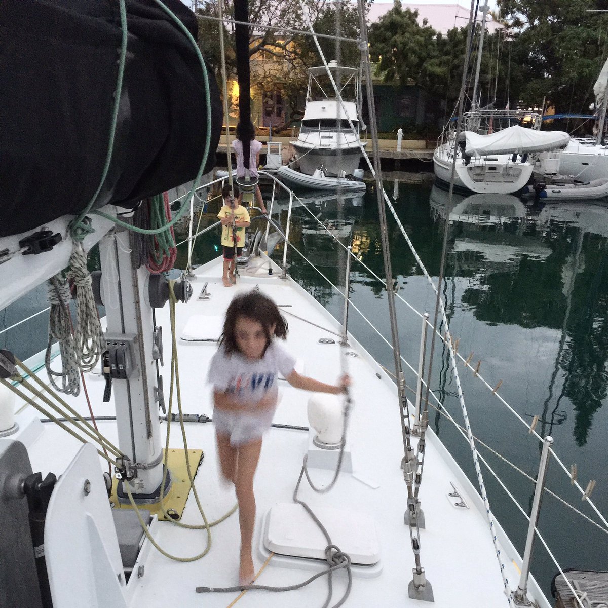 SaltyKissesBlog's tweet photo. The last crazy spurt of energy before we're tucked inside for the night https://t.co/uIsB0HRgic