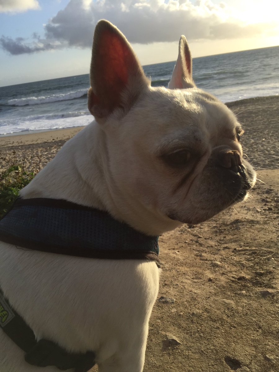 1Lifecc's tweet image. "It is our choices ... that show what we truly are, far more than our abilities." J.K. Rowling #1lifecc #pledgewellness