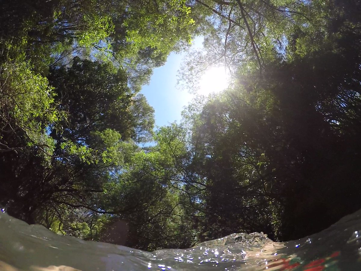 Trent Lenihan tweet media