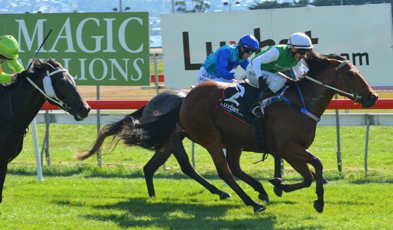 Tadpole becomes a frog bit.ly/2nUX7o9