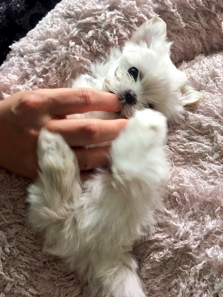 c1127b56's tweet photo. 앙증8ㅁ8 https://t.co/O2BsCZ6i7w
