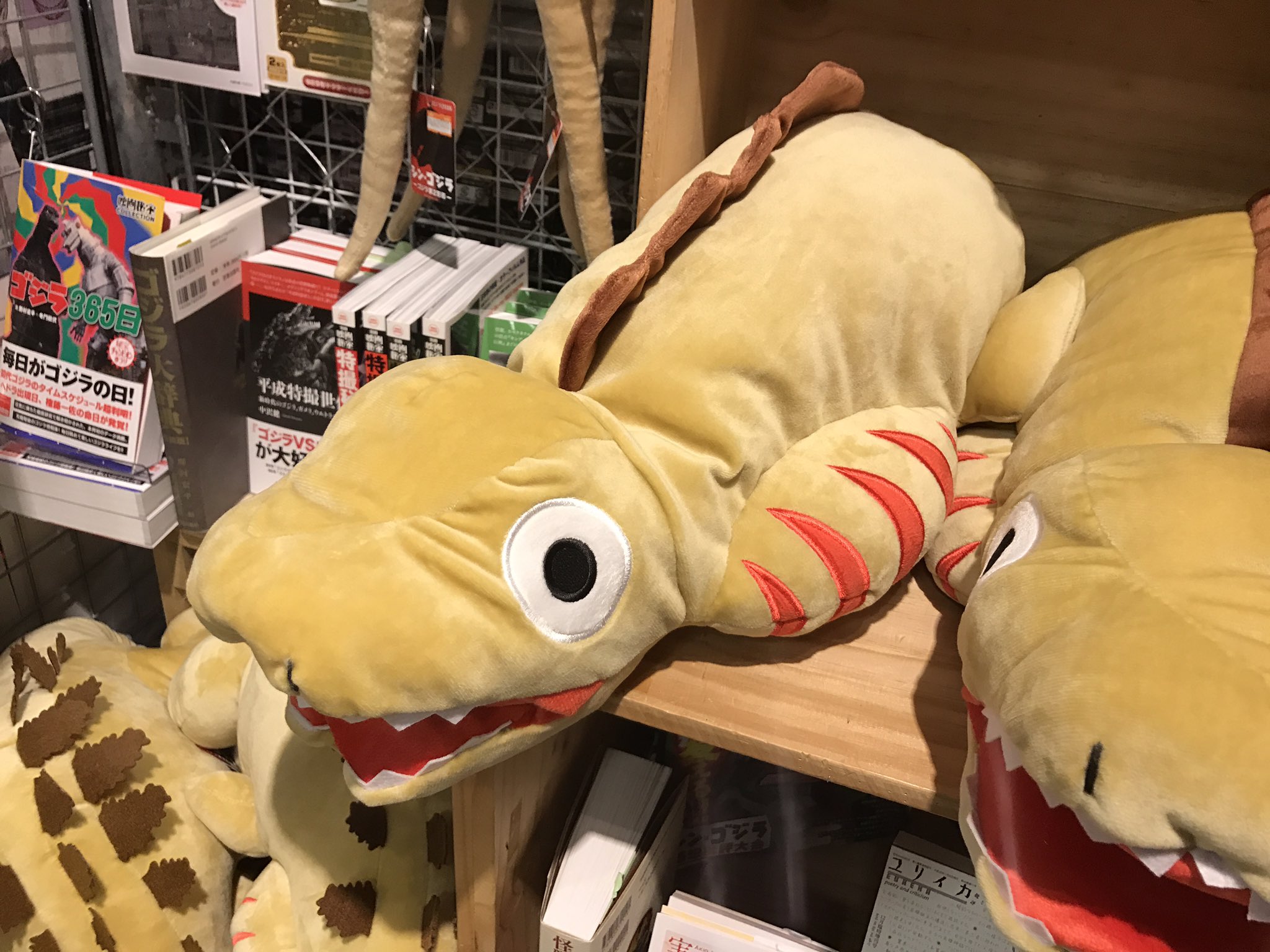 ヴィレッジヴァンガードイオンモール大曲 蒲田くん シンゴジラレンタルも始まりましたけど観ましたか 公開直後から 蒲田くん という愛称で大人気の第二形態グッズ入荷 長い 長いよ 尻尾が 並べにくい 腕マクラやクッションなど 劇中とは真逆の