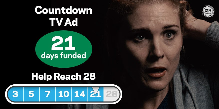 SAFEnewzealand's tweet photo. WAHOO! 21 days funded. Help us reach even more people so we can end cage cruelty for hens. https://t.co/kZ9fMnmIzv #CountdownToCageFree https://t.co/6LAfny3c9A