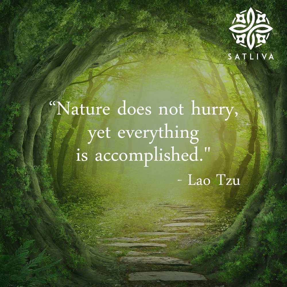 satliva's tweet photo. Although natural remedies take time to show results, their benefits surpass modern-day chemical alternatives. #Satliva #MondayMotivation https://t.co/oNSgcfyc7g
