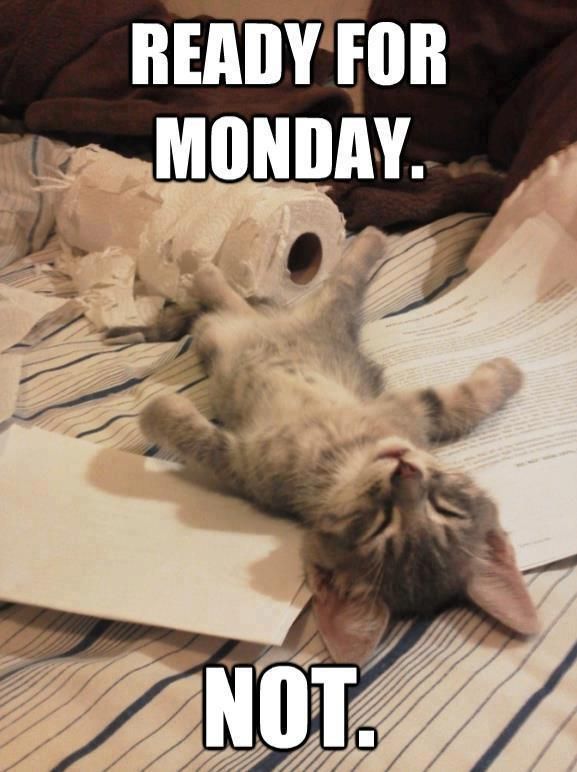 Branfeeapp's tweet photo. Hell yes!
We are back to Monday.
Ready or Not?
#MondayBlues #Monday #Weekend #MondayMotivation #ornot #Branfeeapp https://t.co/KFJjvUE7xe