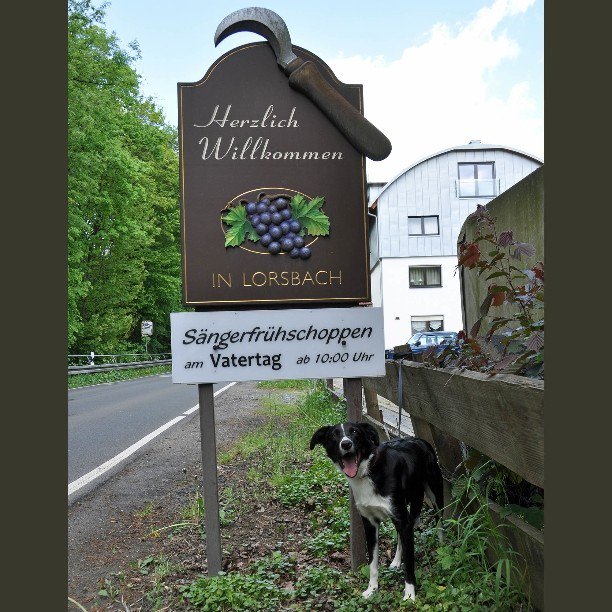ralphkwalker's tweet photo. Lorsbach. Me old German home town.#Lorsbach #Germany #ralph #ralphoninstagram #bordercol… https://t.co/uxdjqPAZQW https://t.co/FoghiEx065