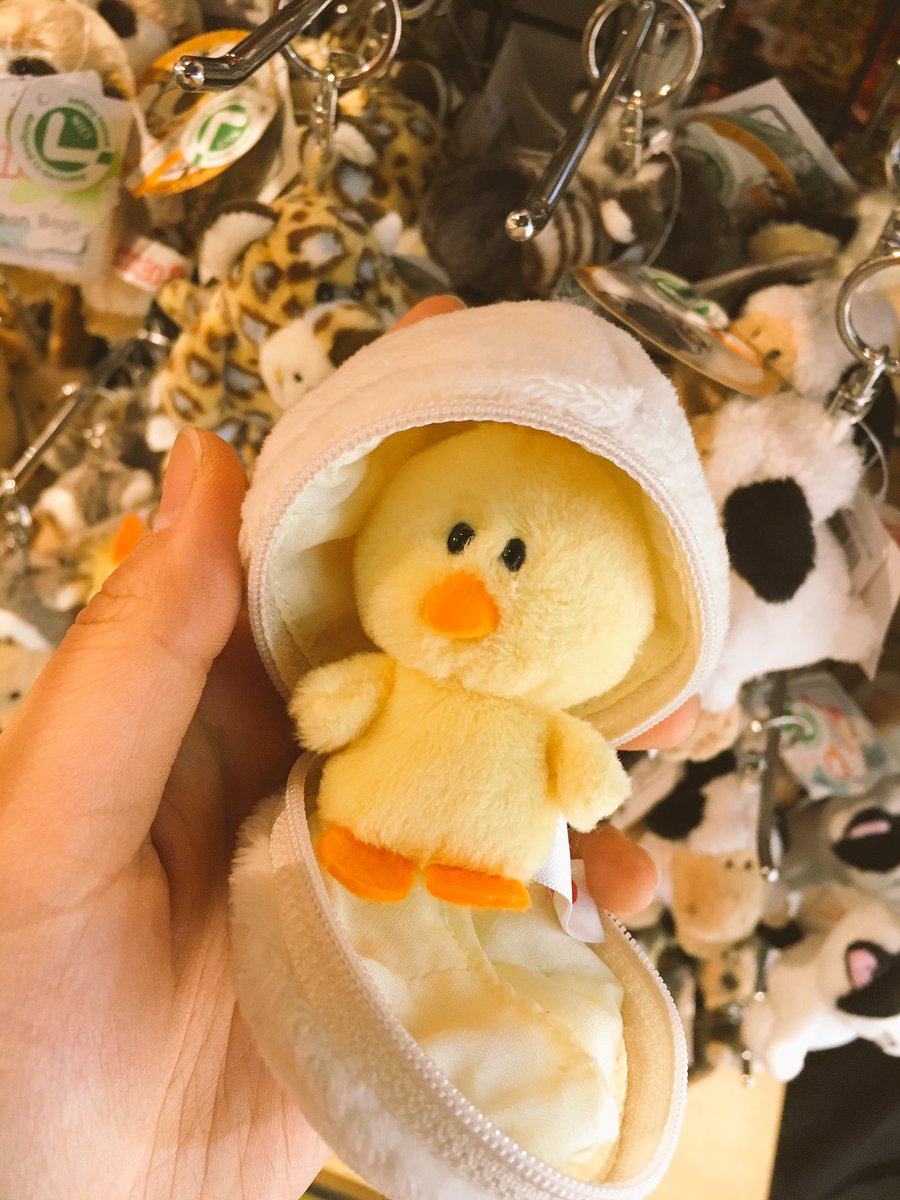 ヴィレッジヴァンガードdc小田原 Niciのキーホルダーいろいろ増えてます 店長は 可愛すぎるひよこに心を奪われました ヴィレッジヴァンガードdc小田原 Niciのキーホルダーいろいろ増えてます 店長は 可愛すぎるひよこに心を奪われました