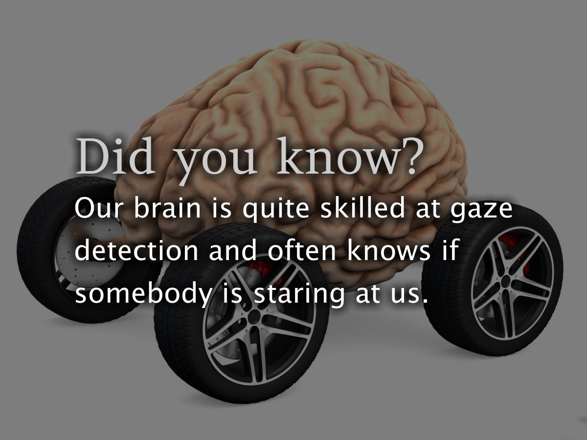 vcarepharmacy16's tweet image. Did you know that our brain is quite skilled at gaze detection and often knows if somebody is staring at us?
#brainability