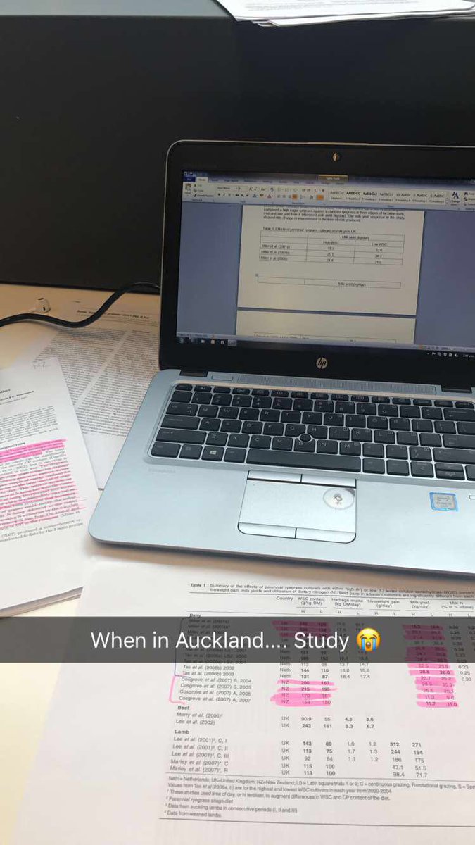 ashcampbellNZ's tweet image. No time to enjoy being a tourist in Auckland today! #studyonthego #gottagetitdone