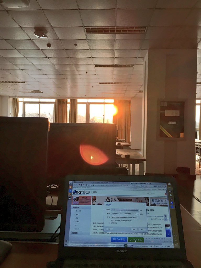 spruceyau's tweet photo. A spring triggered by tulip on campus and the sunshine shed into the library. https://t.co/NkcxEjHaeP