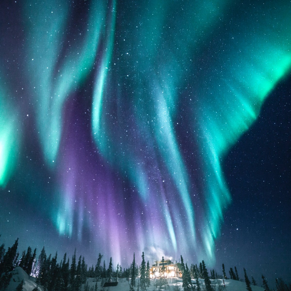 Hummingbird flying over #Canada <a href="/ExploreCanada/">Canada</a> <a href="/spectacularNWT/">Spectacular NWT</a>