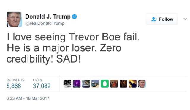 treefrogboe's tweet image. 