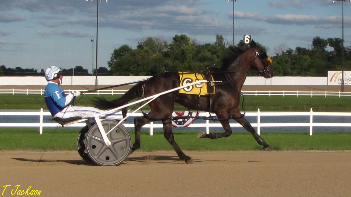 hoosiernations's tweet photo. Good Morning @Chris_wponies @JoannKi32885615 @Healinwaters11 @rebelsart @vnssa926 @kimberlymoier @horseraceguy101 #DpSpoofee #PlayHP https://t.co/CfWCk2eBUC