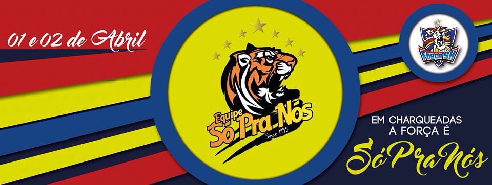 FSKoficial's tweet image. Próxima parada..
Vamos #SPN, agora é a nossa vez! 
#PorEle #PorEla 
🌟🦁❤🐯🏆