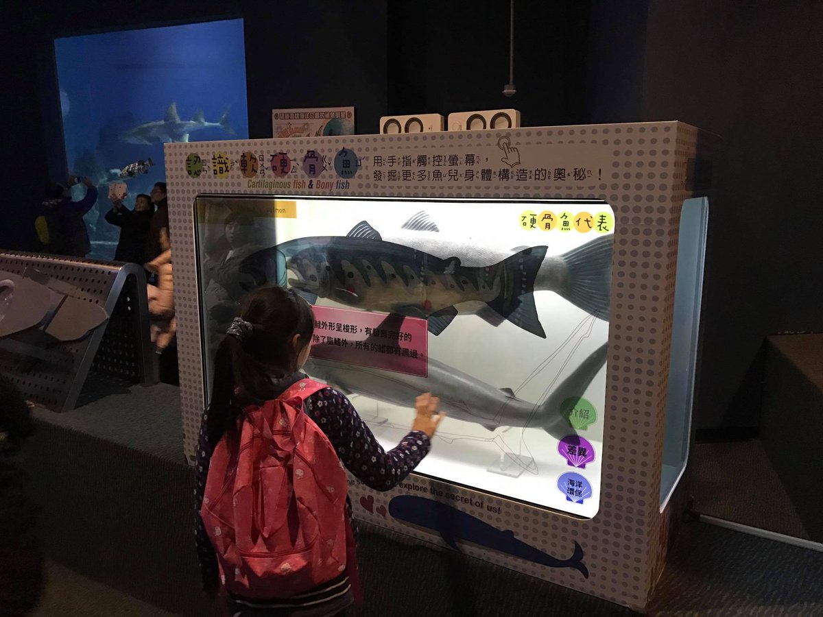 RichSourceTW's tweet photo. WOW WOW WOW! Our mlti-touch transparent screen be allocated at ocean park. It provide interactive learning of fish!

https://t.co/a56poP5Y2t https://t.co/C8ozYfb04G