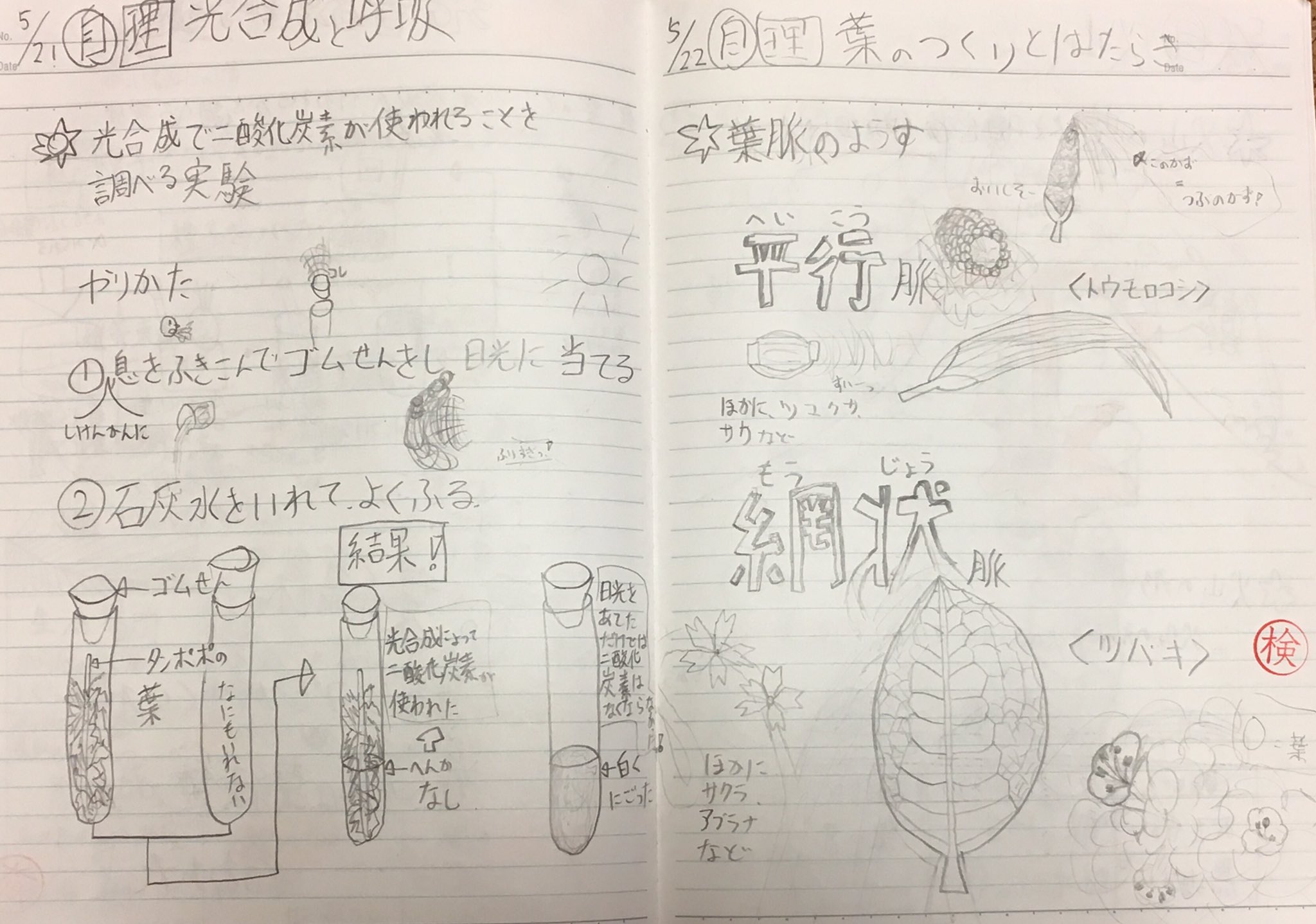 スラヨシ アンテ ポケダン空ネタバレしないでね 聖書のノートならあった 文字が小さくて読めなーい ぇ T Co L6dmvobzkc Twitter