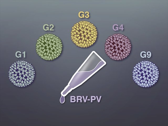 gavi's tweet image. Encouraging! Strong results for low-cost, heat-stable #rotavirus vaccine in #Niger 🇳🇪 ow.ly/anGC30ab2nH v/@NEJM #vaccineswork