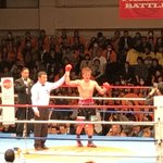 君は蝶のように舞い蜂のように刺すフレンズなんだね すごーい Togetter