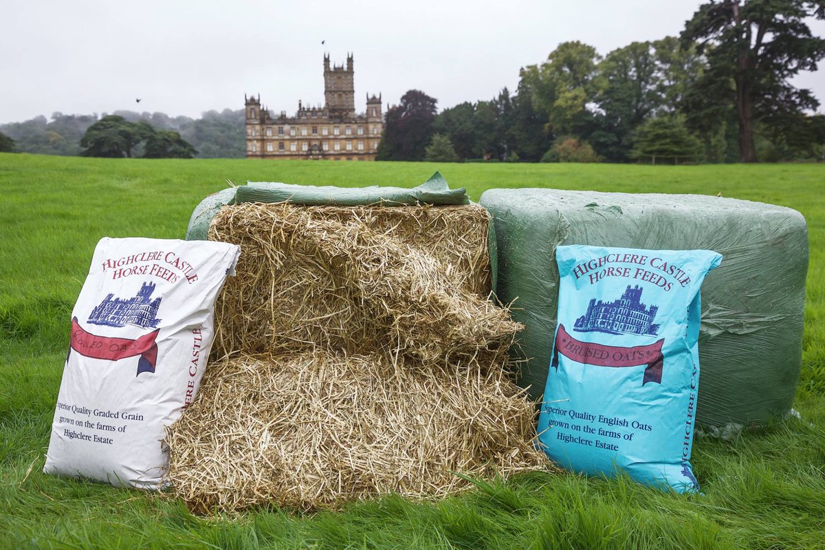 HighclereHorse's tweet photo. Come and say hello to us at the Lambourn Open Day on Good Friday (14 April) https://t.co/NmZamjLgMf #highclere #oatpower #oatcuisine https://t.co/udu1xTI6Pd