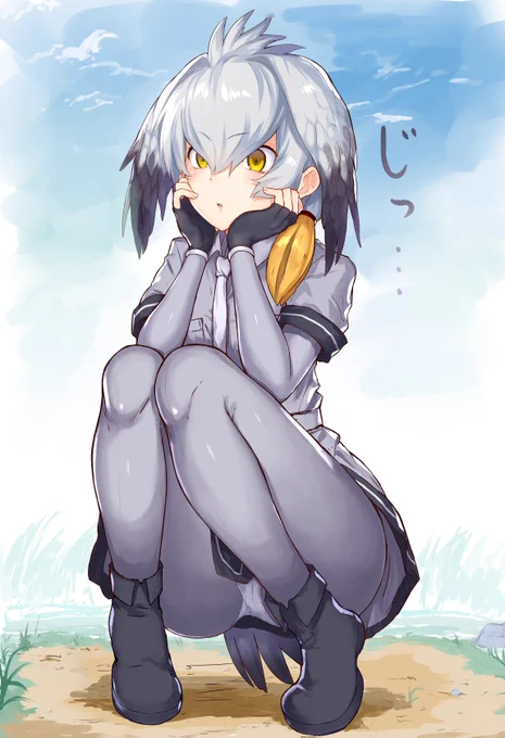 中々目が離せないハシビロちゃんかわいい 
