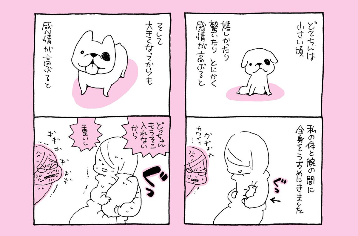 高久尚子先生のペットエッセイコミックス「愛犬が、私を愛してくれません。」に寄稿させて頂いた時に没にしたまんが 