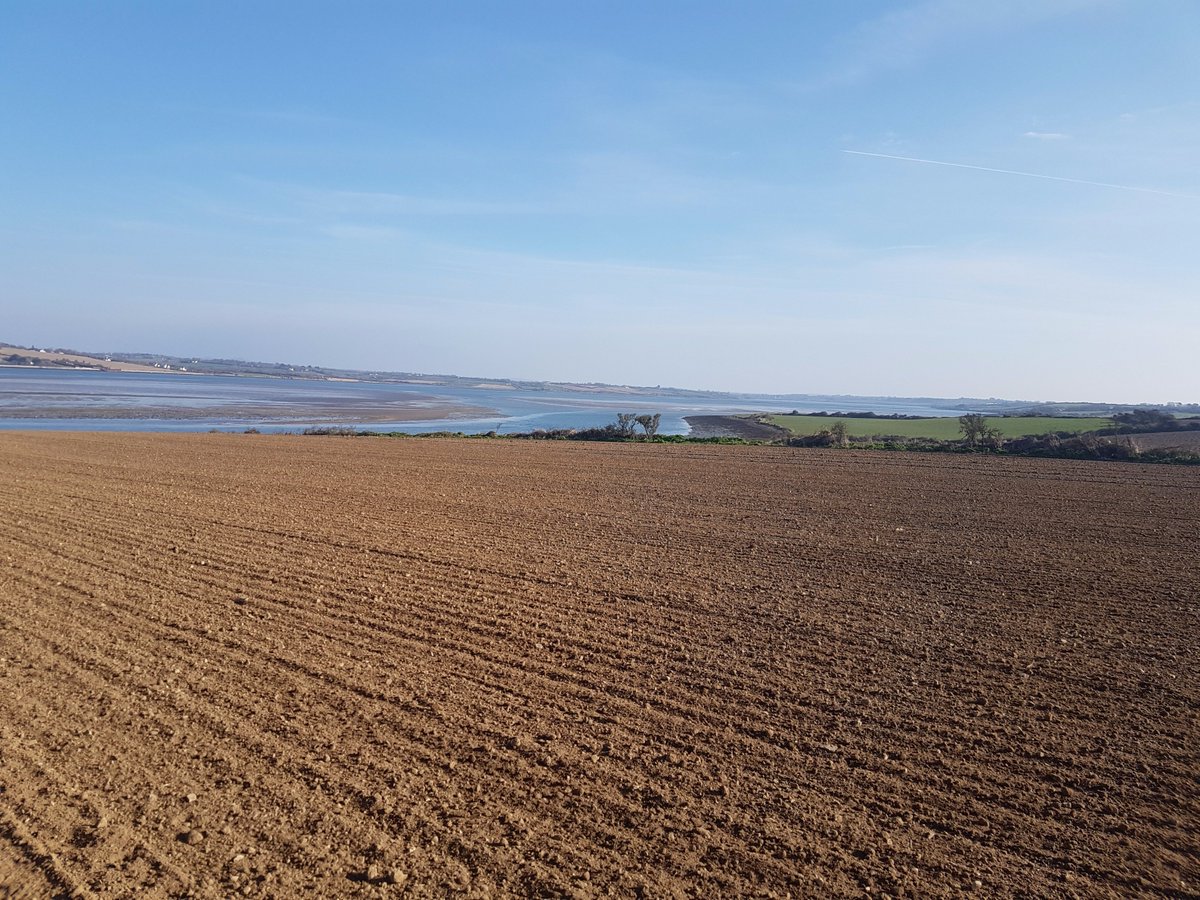EdwardKehoe7's tweet photo. Ed Harpur's Waterford distillery sown. The only farm on an island @leepowerryan @minchmalt @waterforddram #bannowisland #qualityisking https://t.co/YRdWCfXIwX