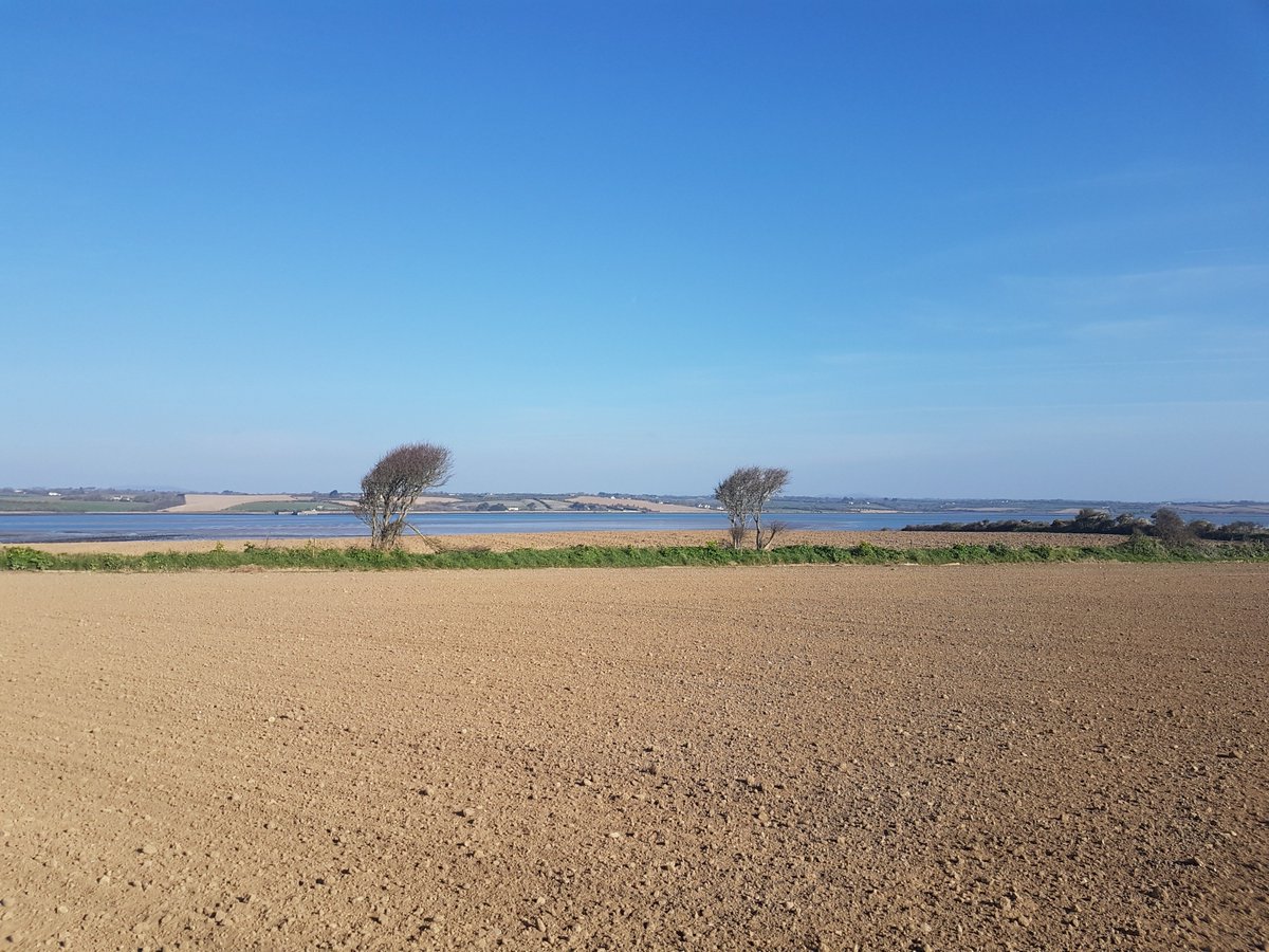 EdwardKehoe7's tweet photo. Ed Harpur's Waterford distillery sown. The only farm on an island @leepowerryan @minchmalt @waterforddram #bannowisland #qualityisking https://t.co/YRdWCfXIwX