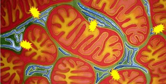 Metabolic sepsis resuscitation: the evidence -by <a href="/PulmCrit/">𝙟𝙤𝙨𝙝 𝙛𝙖𝙧𝙠𝙖𝙨 💊</a> emcrit.org/pulmcrit/metab…