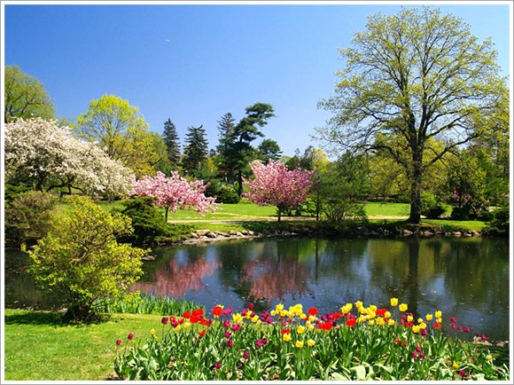 Aquaplancton's tweet photo. What you need to do with your #pond in #spring....https://t.co/J1tESnHpbf https://t.co/lcz9xLAr0h