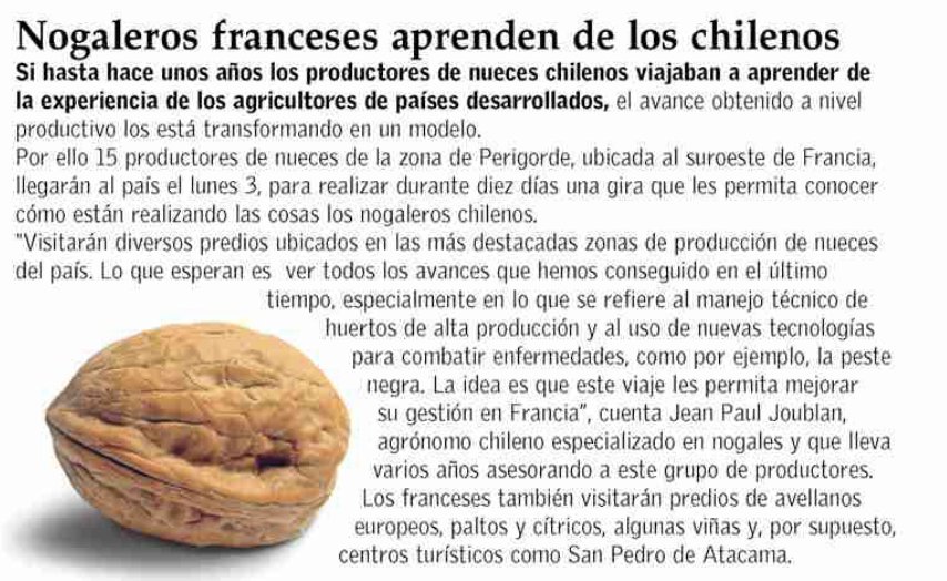 Nogaleros franceses vendrán a Chile para aprender de la industria local.
economiaynegocios.cl/noticias/notic…
<a href="/Revistadelcampo/">Revistadelcampo</a>