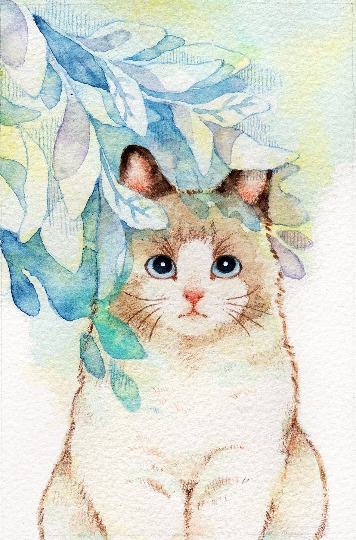 ラグドール イン 花畑」 猫、絵画 cf97cef848deb3b410a541eb457683