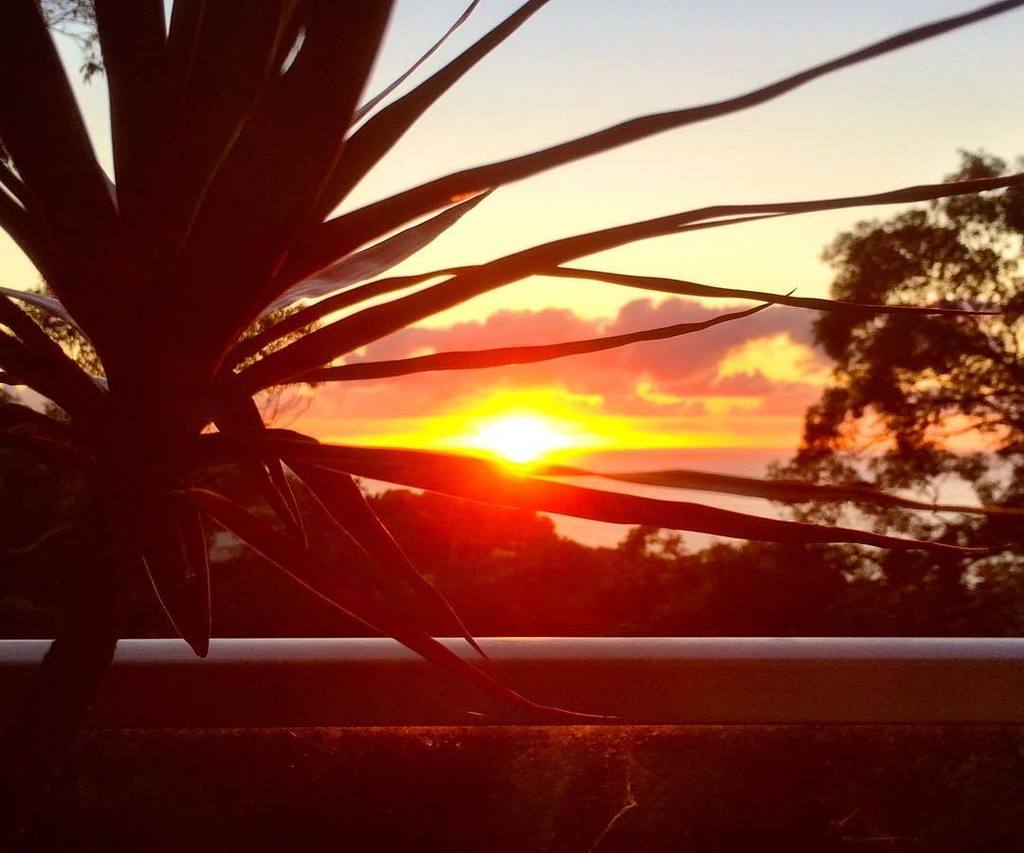 worldclasskid's tweet photo. Finally saw the sun return today...so gorgeous! #sunrise #sydney #worldclasskids #travel #sun #travel #photooftheday https://t.co/MUWHIxIyPj