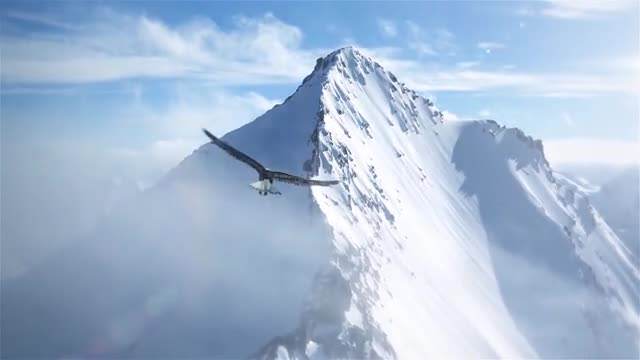 Techbee2019's tweet image. Hold fast to dreams/For if dreams die/ Life is a broken-winged bird/That cannot fly.