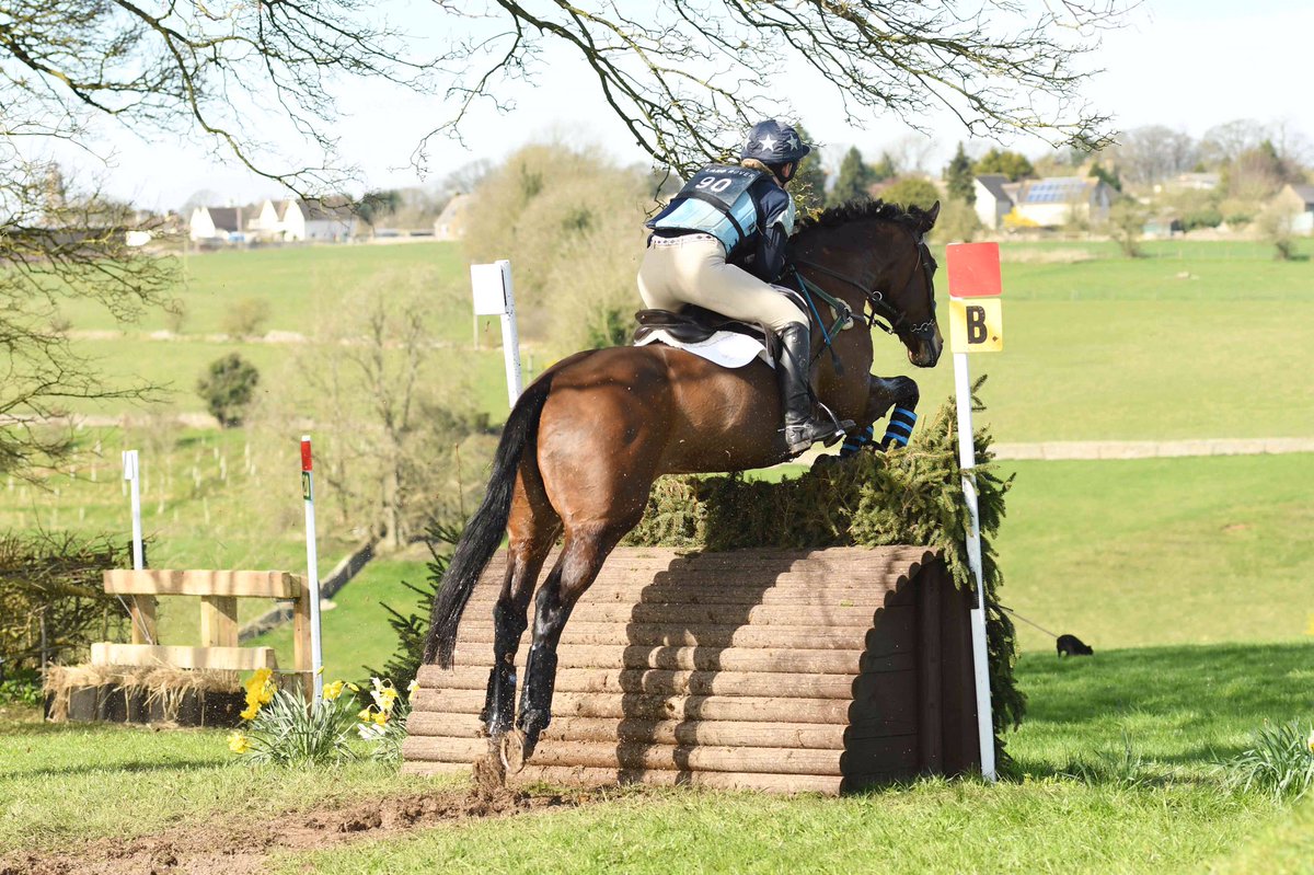AMKReventing's tweet photo. Lady at @GatcombeHTrials ❤️😍🦄 @BantamLifePubs @SwanSwinbrook @AnimalifeUK @finefettlefeed @SelwoodEquine 🌟 https://t.co/TTOpMC8VSS
