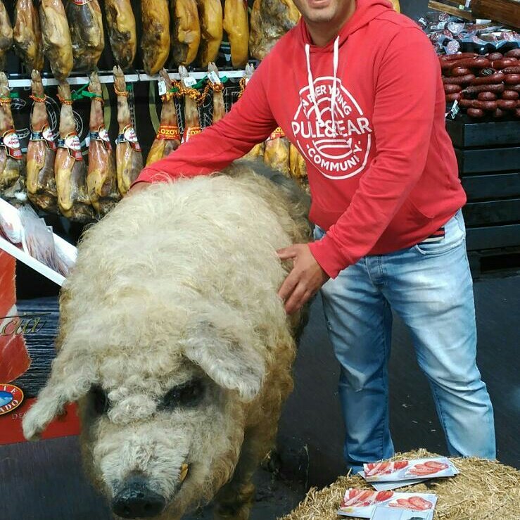 bertol76's tweet image. …bertolcortadordejamon.blogspot.com.es/2017/03/raza-d…