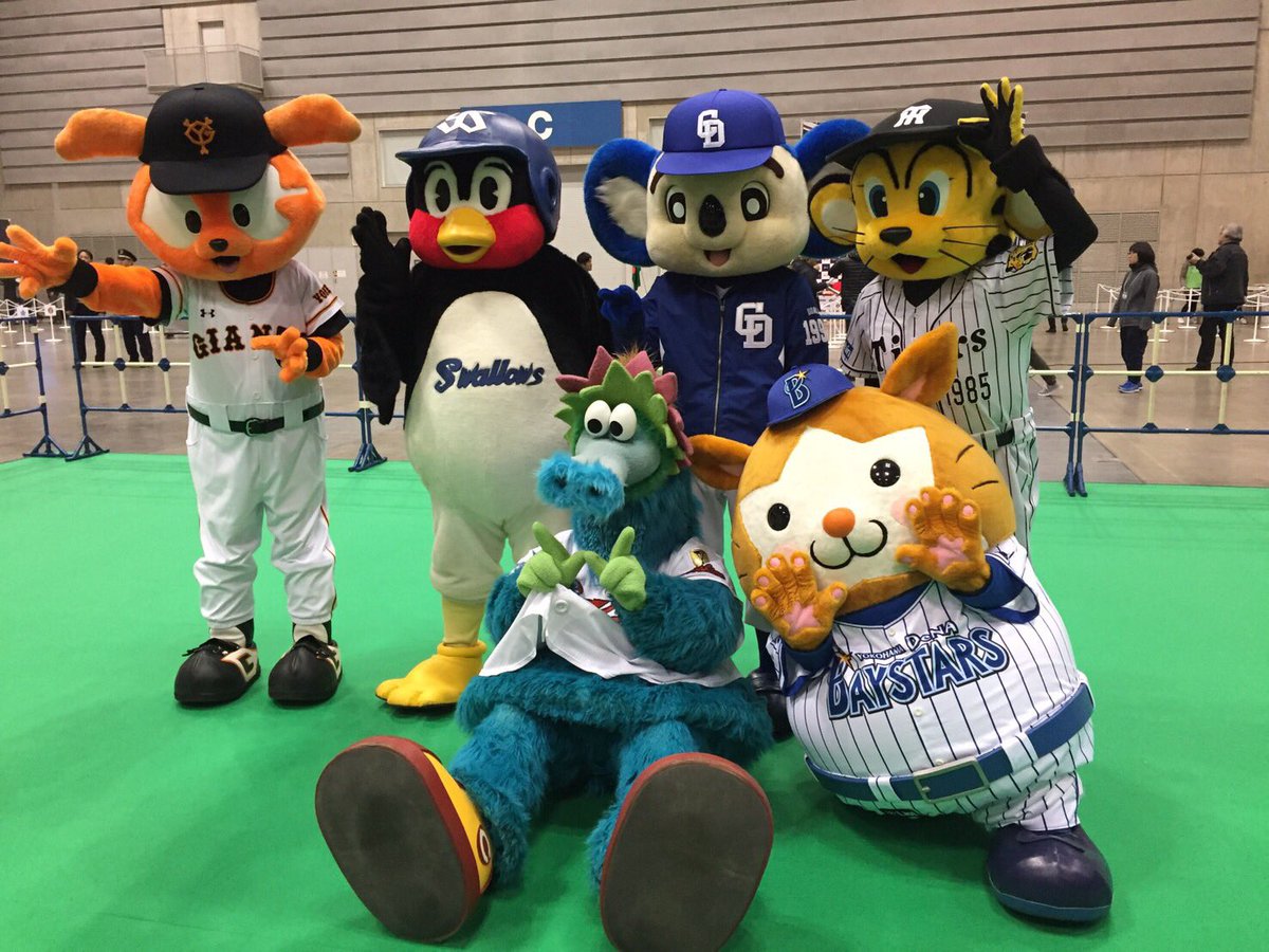 セ リーグマスコットキャラクターぬいぐるみ Krillcom Com Ar