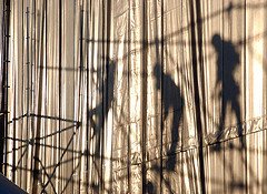 Inas Cisl tweet media