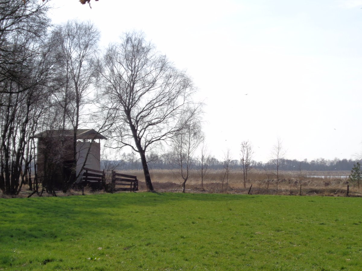 buurtenregio's tweet photo. Op stap voor #tragetocht van @WolfsWandelplan rond #Zwillbrock en #Leemputten voorbij #Groenlo. #Flamingoos gezien! https://t.co/nERXY0cg6V