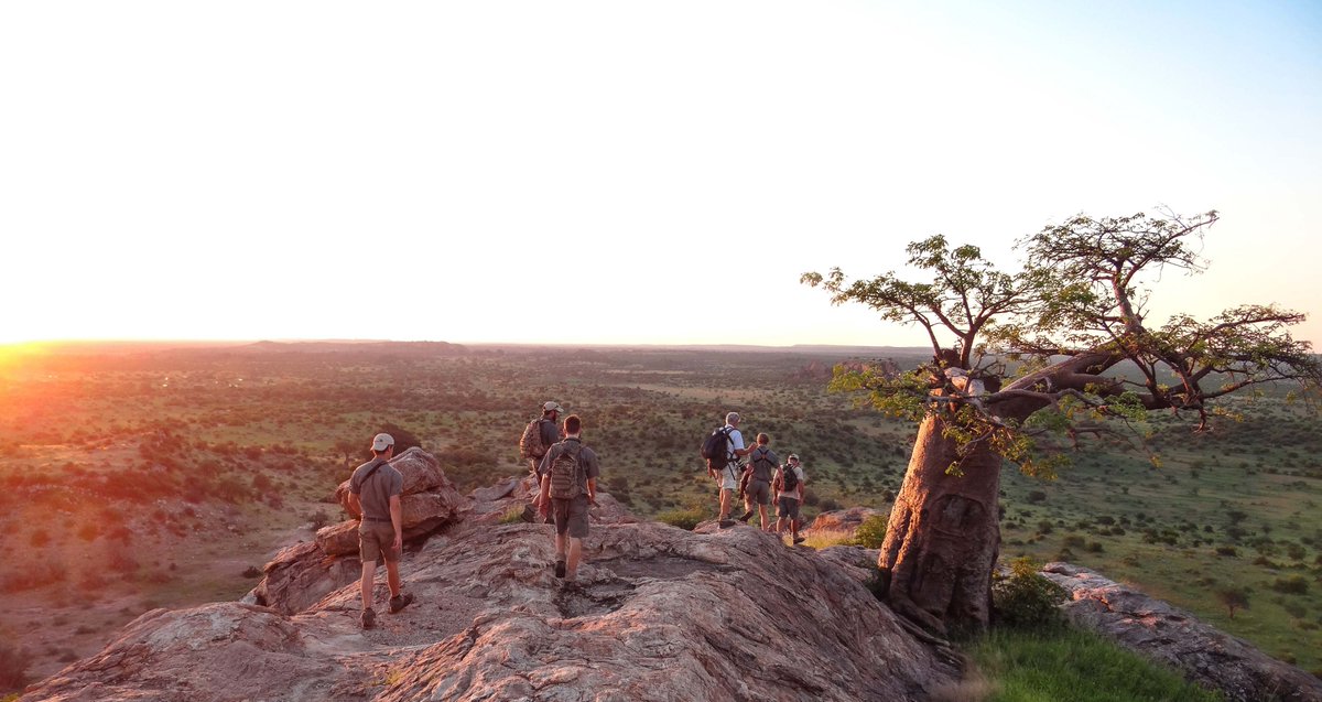 EcoTraining's tweet image. Read all about Cara's second attempt on a #TrailsGuide course, this time in Mashatu game reserve
ecotraining.co.za/blog/2017/trai…
#guidetraining