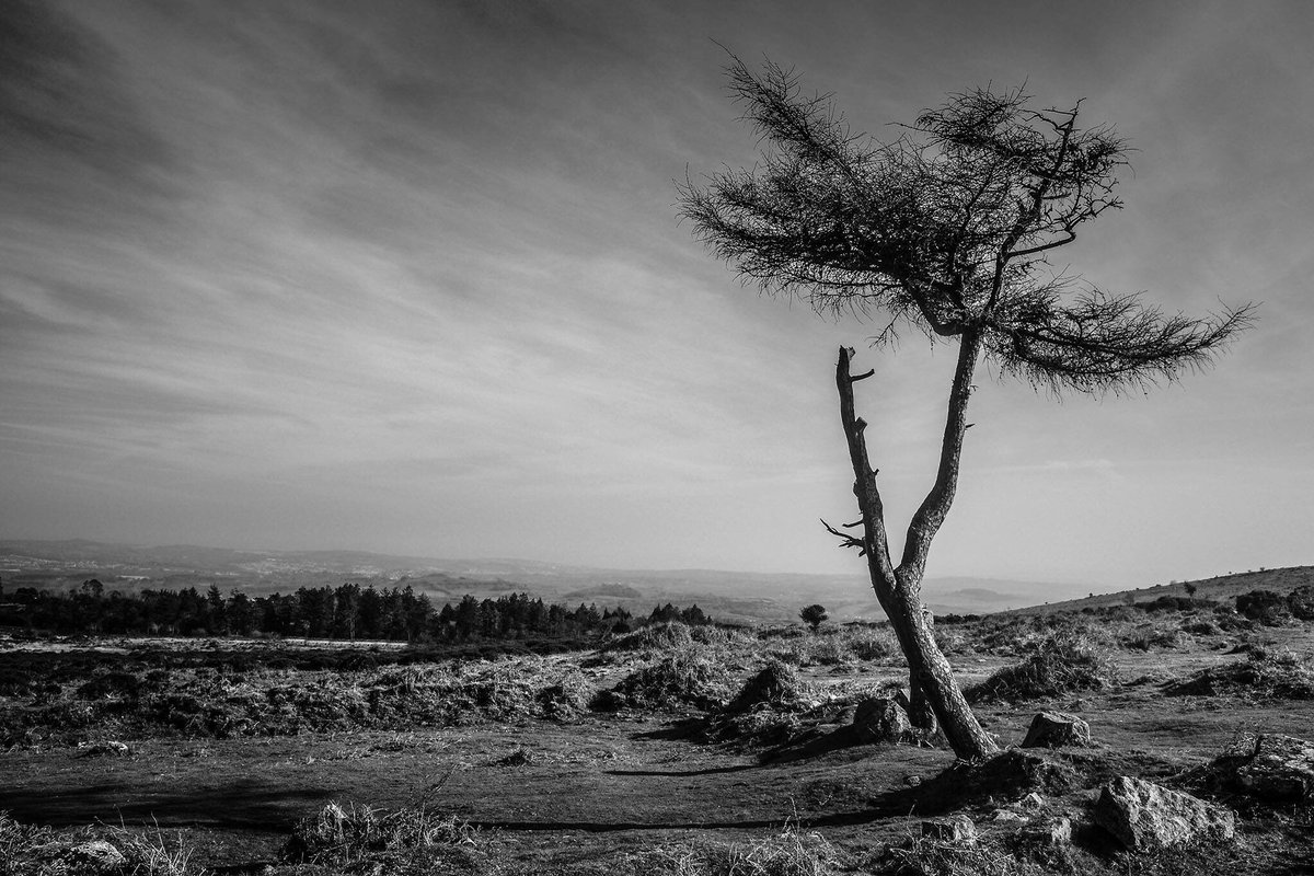 julianf1972's tweet photo. #fujifilm #x100s #Dartmoor #devon @DevonSouthWest @visitsouthdevon @DevonLife @WMNPictures @Fujifeed @Fujifilm_UK https://t.co/Vlm1bL40hd