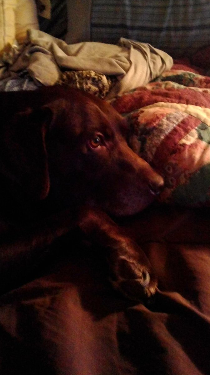 80sRebelNonConformist: SoulJourney's Thoughts💃🏾 tweet media