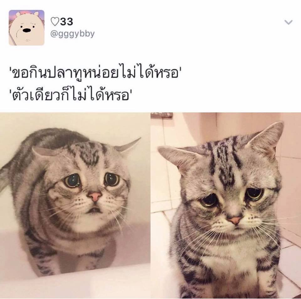 น่ารักอ่ะ