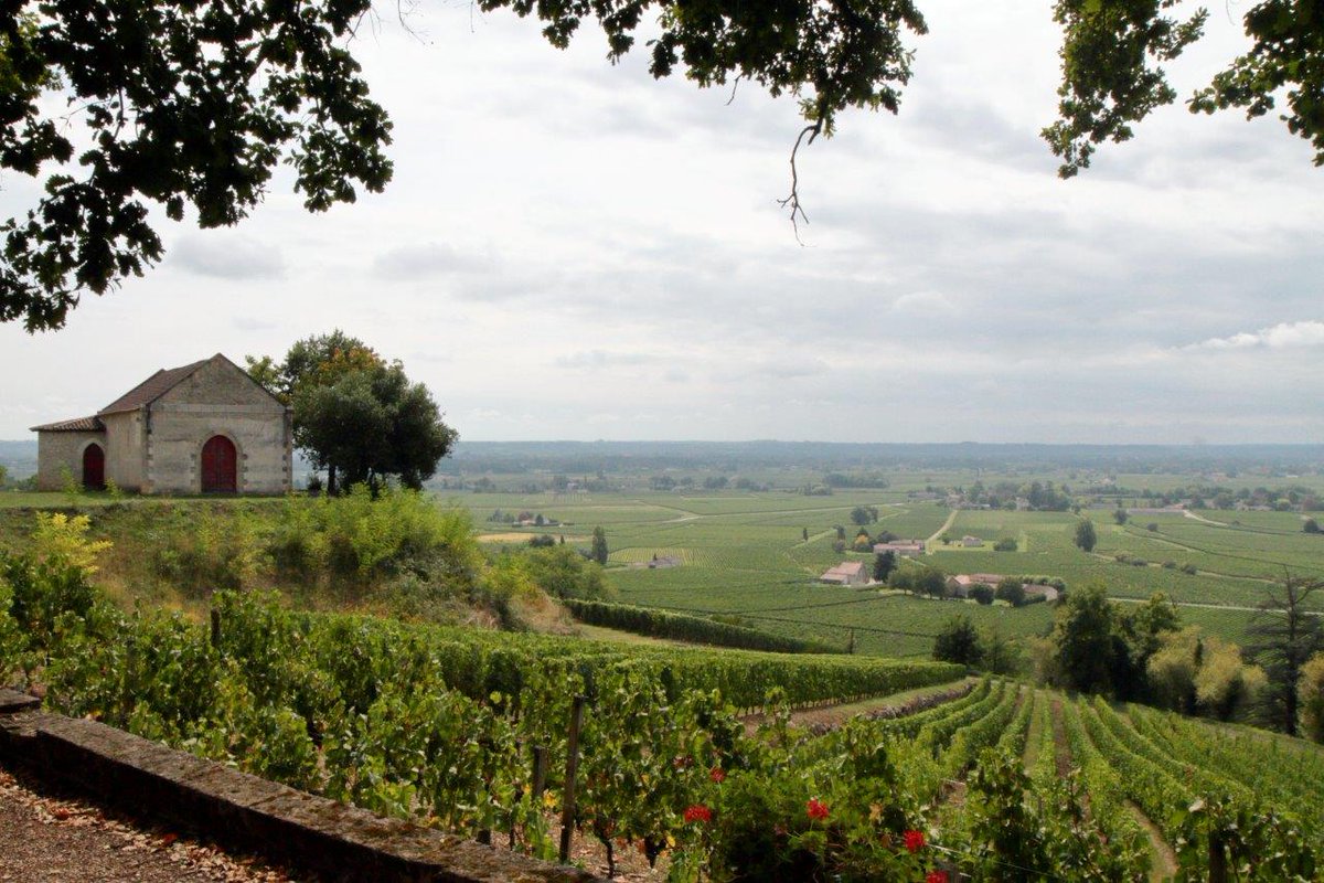 MemosineTours's tweet photo. Une belle initiative de @France2tv pour mettre les vignobles français en valeurs >> https://t.co/iCbq6Yp2W3 https://t.co/VilXISM11q