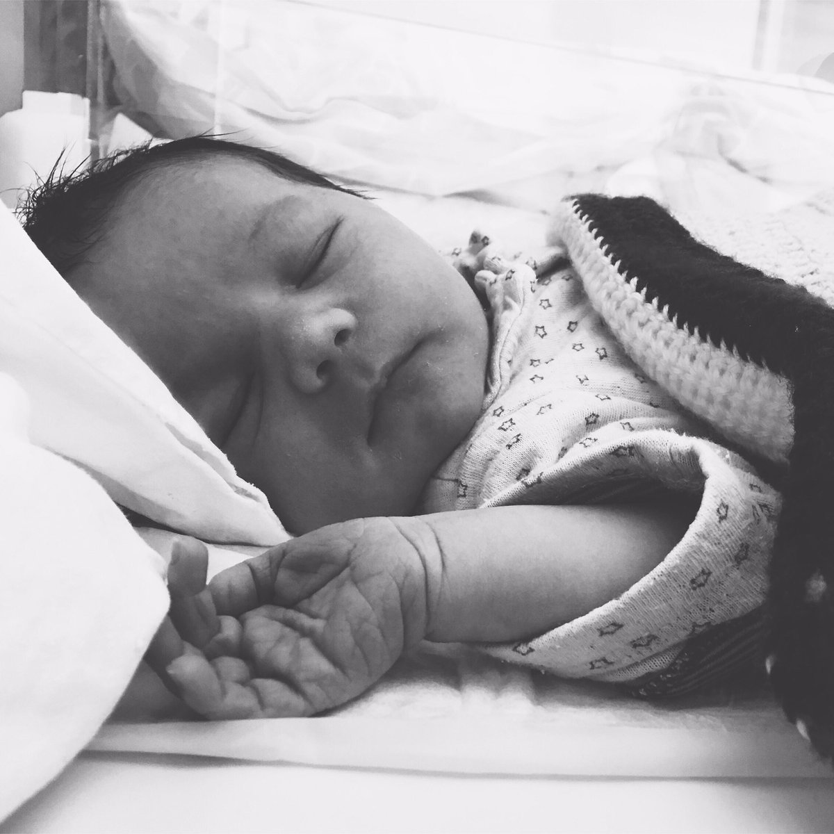 modernbotanics's tweet photo. more baby spam #sorrynotsorry 💙 https://t.co/P4S2r1qBI9
