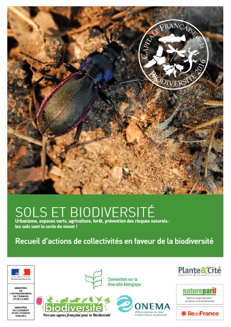 Biodiville's tweet photo. Un recueil d'actions exemplaires de #collectivités en faveur des #sols et de la #biodiversité https://t.co/yMHFVGM9v3 https://t.co/GpU7u9eJv2