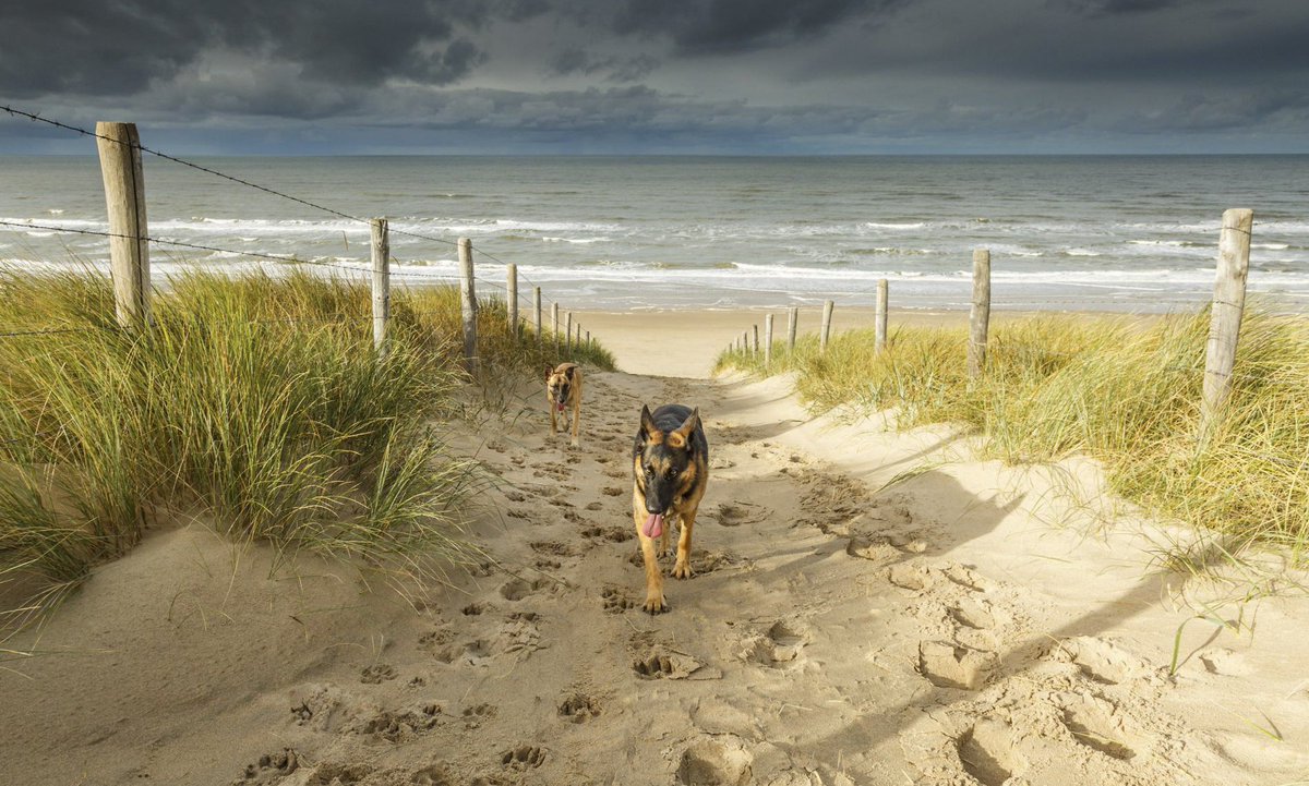 We are proud that Noordwijk is one of the 21 Best Beaches in the World by National Geographic!