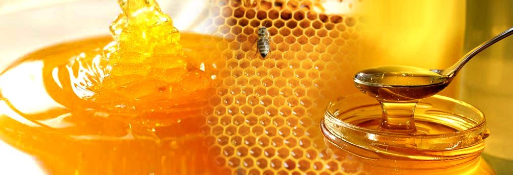 Beograd202's tweet photo. Sajam meda se održava na Vidikovcu - prodaju isključivo proverene i registrovane proizvode, kaže naš reporter Petar Protić.
#SajamMeda 🐝🍯 https://t.co/WoonaGTDKF
