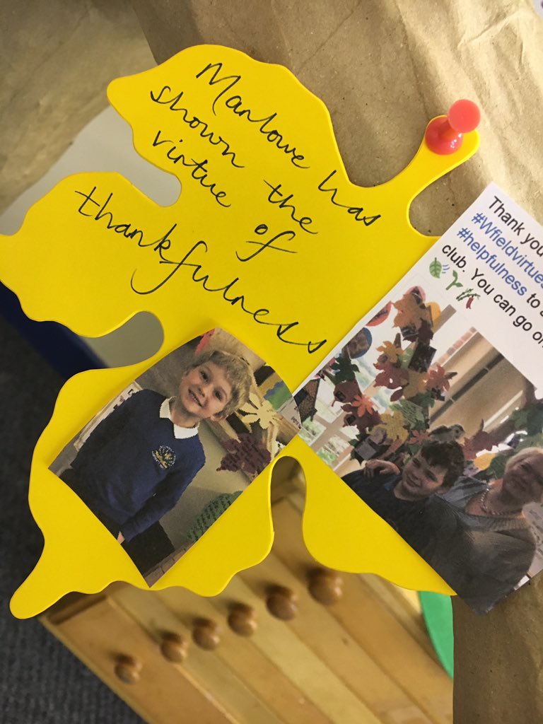 Wfieldks1's tweet photo. 🙋🏼‍♂️has shown the virtue of thankfulness &amp; he has made L @Wfieldyr5 happy #WFAchvTree 🌱
#WfieldVirtues #WfieldValues 
@lucyknits79 @Yattix https://t.co/Z7ENRAKad8