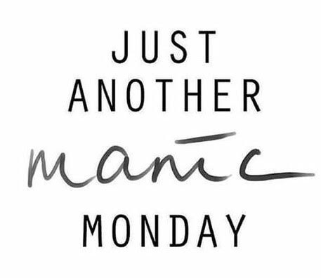 direct_windows's tweet image. Monday morning again..why not cheer your day up by purchasing one of #conservatories #windows or #doors? you will not be disappointed!