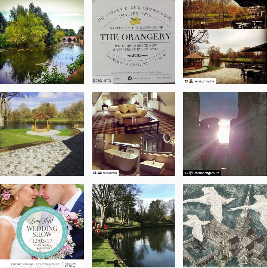 LegacyRoseCrown's tweet photo. Follow us on #Instagram to see our latest snaps! Don't forget to share your images with us too! #LoveWilts 📸https://t.co/lt0lKhAtiS https://t.co/7fpLLKM3zt